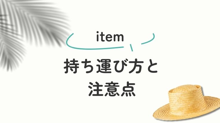 4. 帽子の持ち運び方と注意点