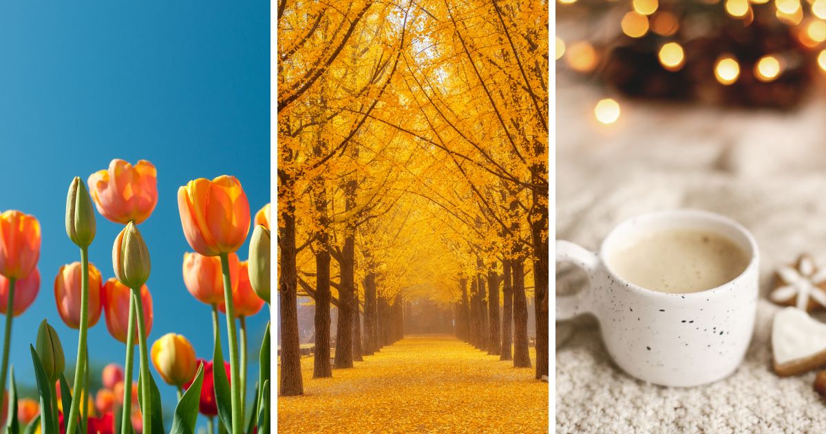 ダンボールニットの着用に最適な季節