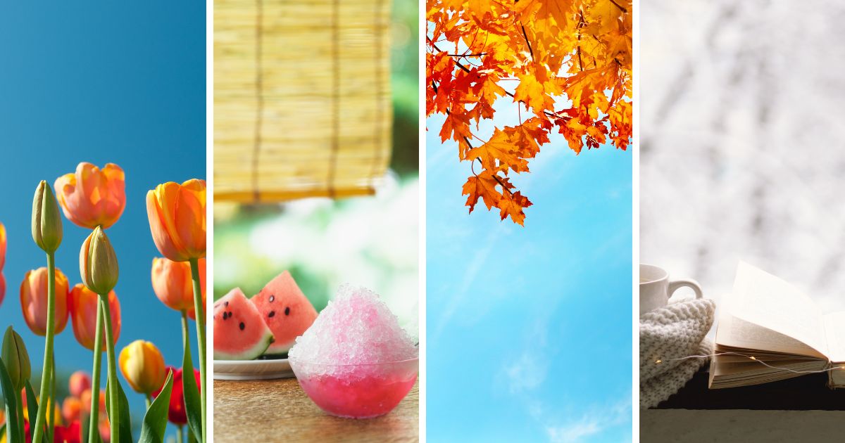 ワッフルニット着用に最適な季節