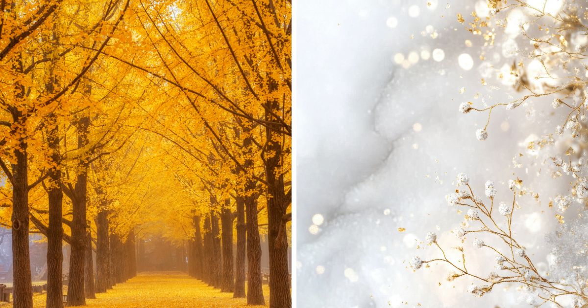 フランネル生地に最適な季節は秋から冬